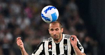 Soccer-Chiellini confirms he will leave Juventus at the end of the season