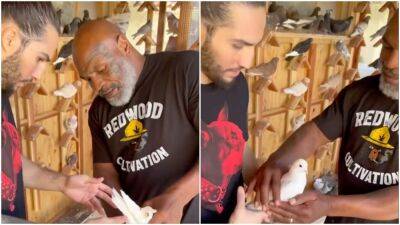 Mike Tyson - Muhammad Ali - Mike Tyson shows Muhammad Ali's grandson his pigeons - givemesport.com - state New York