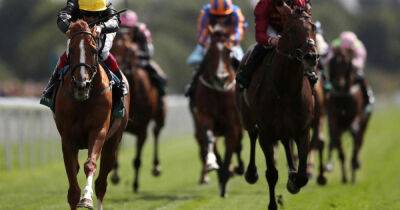 Friday ITV Racing Tips: Best bets for York and Newbury