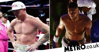 Ricky Hatton: Canelo Alvarez now in similar position to Anthony Joshua after Dmitry Bivol loss but he can put it right