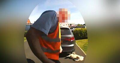 Video doorbell captures postman appearing to kick family's dog - manchestereveningnews.co.uk - Manchester