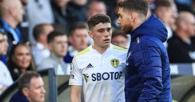 Dan James - Daniel James - Simon Jordan - Luke Ayling - ‘A waste of money’ – Ex-Man Utd attacker labelled ‘irresponsible’ and ‘fundamental disappointment’ - msn.com - Jordan -  Swansea