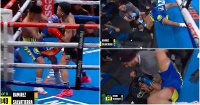 Knockout of the Year? Ringside photographer saves brutally KO'd boxer from severe fall