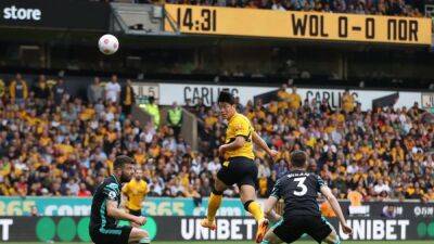 Teemu Pukki - Wolves' European hopes end following 1-1 draw with Norwich - channelnewsasia.com - France -  Norwich