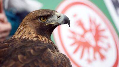 EUROPA LEAGUE I FINAL Tristeza en el Eintracht: su mascota, vetada en Sevilla