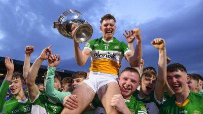 Offaly 'boys became men' with Leinster hurling triumph