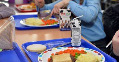Parents warned school meal sizes may get smaller due to cost of living crisis
