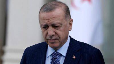 Recep Tayyip Erdoğan - Why does Turkey want to block Finland and Sweden from NATO? - euronews.com - Russia - Sweden - Finland - Ukraine - Turkey -  Stockholm -  Helsinki