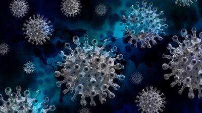 Cómo se contagia la viruela del mono y en qué se diferencia de la viruela clásica