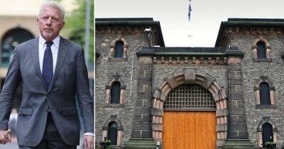 Boris Becker - Boris Becker 'could land a cushy prison gym instructor role' - msn.com