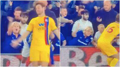 Everton fan goes viral for smacking Crystal Palace player on the bum