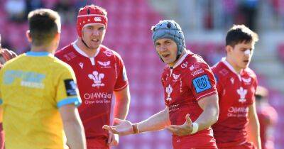 Scarlets 21-26 Stormers: Dwayne Peel's side miss out on Champions Cup rugby despite impressive performance