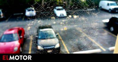 ¿Cómo eliminar del coche arañas y otros insectos?