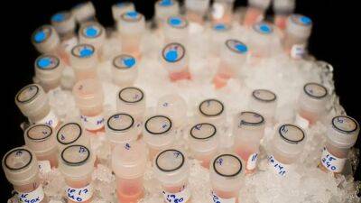 Inyectan un virus experimental que mata al cáncer - en.as.com