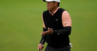 Paul Macginley - Seve Ballesteros - Tiger Woods deserves better than to be a ‘ceremonial golfer’, says Paul McGinley - msn.com - Usa