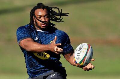 High-flying Stormers land Springbok hooker on three-year deal
