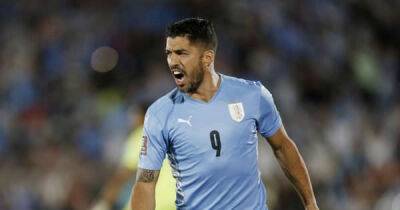 Wolves can unearth their own Luis Suarez by signing 6ft4 titan who will "cause havoc" – opinion