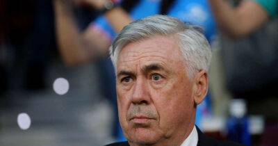 Soccer-Real Madrid's grit got them to Champions League final, says Ancelotti