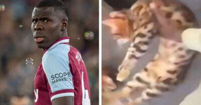West Ham star Kurt Zouma pleads guilty to kicking and slapping cat