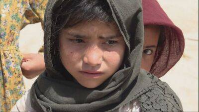 Anthony Albanese - Afghanistan under Taliban rule: Families face desperate choices to survive poverty - france24.com - France - Australia - Afghanistan - South Korea - North Korea