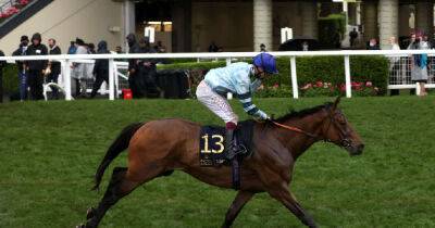 No hanging around for Quickthorn in Sandown Henry II without Trueshan - msn.com - county Henry