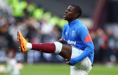 West Ham's Kurt Zouma pleads guilty to kicking pet cat