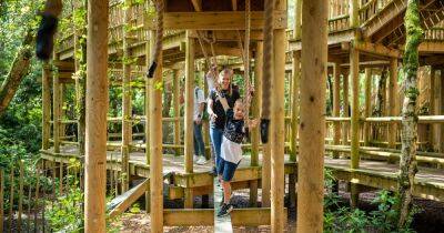 BeWILDerwood Cheshire celebrates its first birthday with ticket offer for a limited time – including May half term