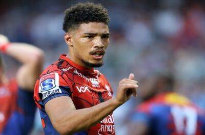 Marius Louw - Elton Jantjies - Gianni Lombard - Lions welcome back a prodigal son as versatile Gianni Lombard re-signs - news24.com - South Africa - Japan - Jordan - county Hamilton