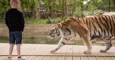 Explore totally wild experiences for the whole family at Knowsley Safari