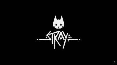Stray Release Date Seems to have Leaked via PlayStation Database