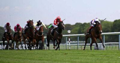 William Haggas - Saturday ITV Racing Tips: Best bets for Haydock, Beverley and Chester - msn.com