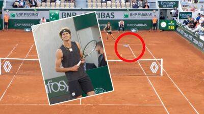 French Open: 'Nearly hit the bird!' - Surprise disturbance has everyone laughing at Alexander Zverev match