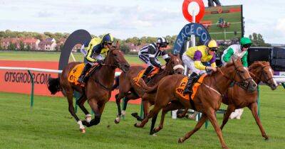 Gordon Elliott - Garry Owen - Lucinda Russell - Horse racing tips and best bets from Ayr, Fakenham and Lingfield - dailyrecord.co.uk