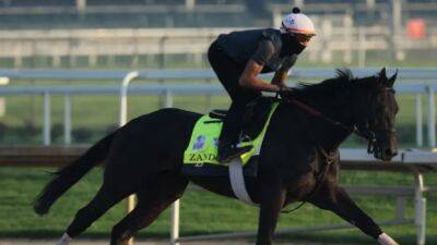 Zandon a 3-1 favourite for Kentucky Derby on TSN - tsn.ca -  Kentucky - county Lexington - state Louisiana - Chad -  Santa