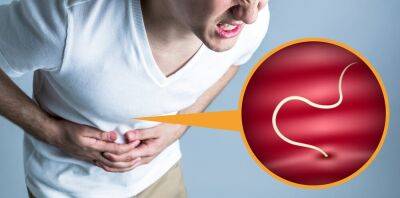 6 síntomas de las lombrices intestinales - Mejor con Salud