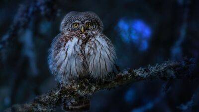 ¡Shhhhh! Consejos para hacer un reset mental y levantarte el lunes como nuevo - en.as.com