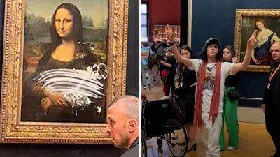 Watch: Man disguised as old woman attacks Mona Lisa with cake - euronews.com -  Paris