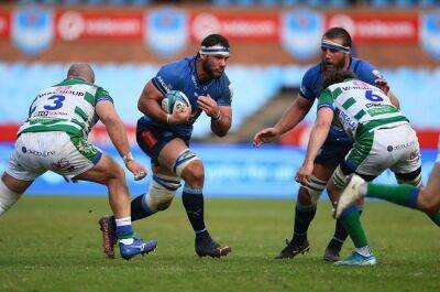 Jake White - Matfield believes Bulls' better coaching will trump Sharks' star power in URC showdown - news24.com