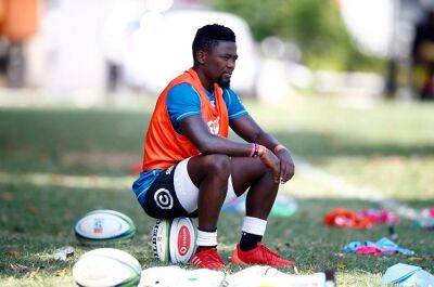 Nohamba straight into the action via bench for Lions ahead of Cheetahs duel