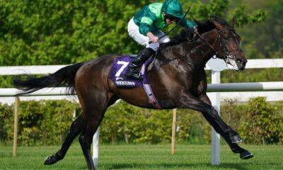 Luxembourg’s Derby absence boosts Stone Age after Leopardstown’s win