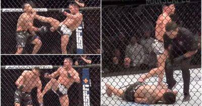 Michael Chandler's KO of Tony Ferguson from cageside was insane