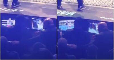UFC 274: Dana White caught watching Canelo vs Bivol cageside