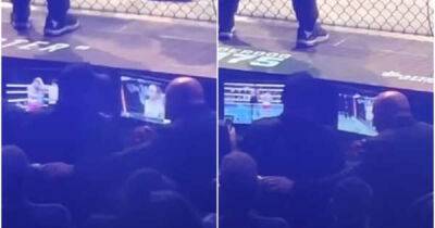 Dana White was caught watching Canelo vs Bivol rather than UFC 274's co-main event