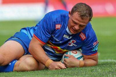 Veteran Fourie on second Stormers stint: 'I love the energy of the youngsters'