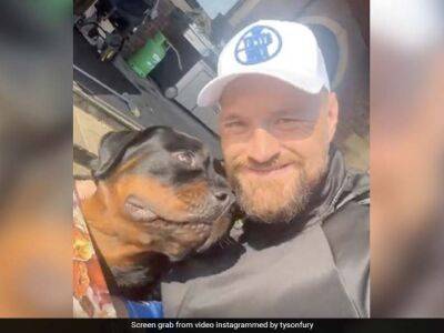 Tyson Fury Spends Over Rs 19 Lakh On Guard Dog To Protect Family: Report
