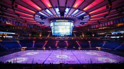 New York Rangers fan given lifetime ban from Madison Square Garden after 'abhorrent assault' of Tampa Bay Lightning supporter