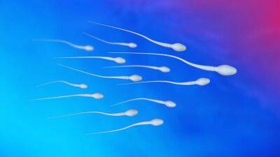 Health - Research into falling sperm counts finds ‘alarming’ levels of chemicals in male urine samples - euronews.com - Denmark - London