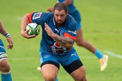 Springbok prop Van der Merwe joins Brive - news24.com - France - South Africa - Ireland -  Dublin