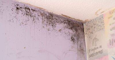 Mould, sodden rooms and collapsing walls: The most common complaints renters have in Greater Manchester