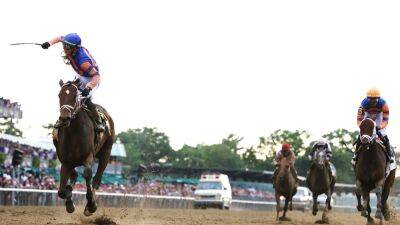 Favourite Mo Donegal obliges in Belmont Stakes